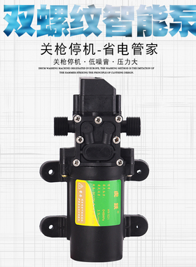12V伏双螺口电动喷雾器水泵电机高压打药机配件大功率自吸水泵