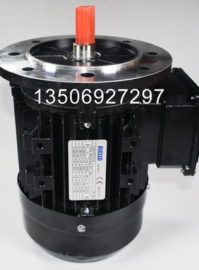 RIELLO燃烧器电机利雅路油泵电机RS70 RS100 RS130 RS190 RS250