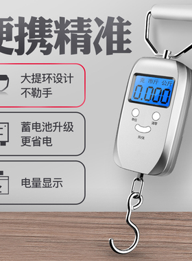 德国手提电子秤高精度家用可携式50kg快递称小秤进口弹簧小型手拿