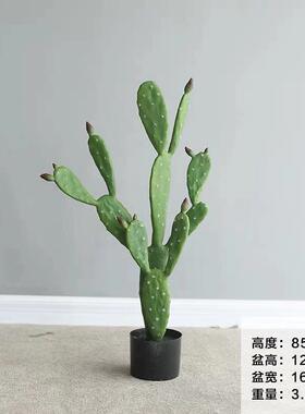 热带大型仿真漠摆植物造仙人掌仙人柱盆栽沙室内楼梯FH-1078B件橱