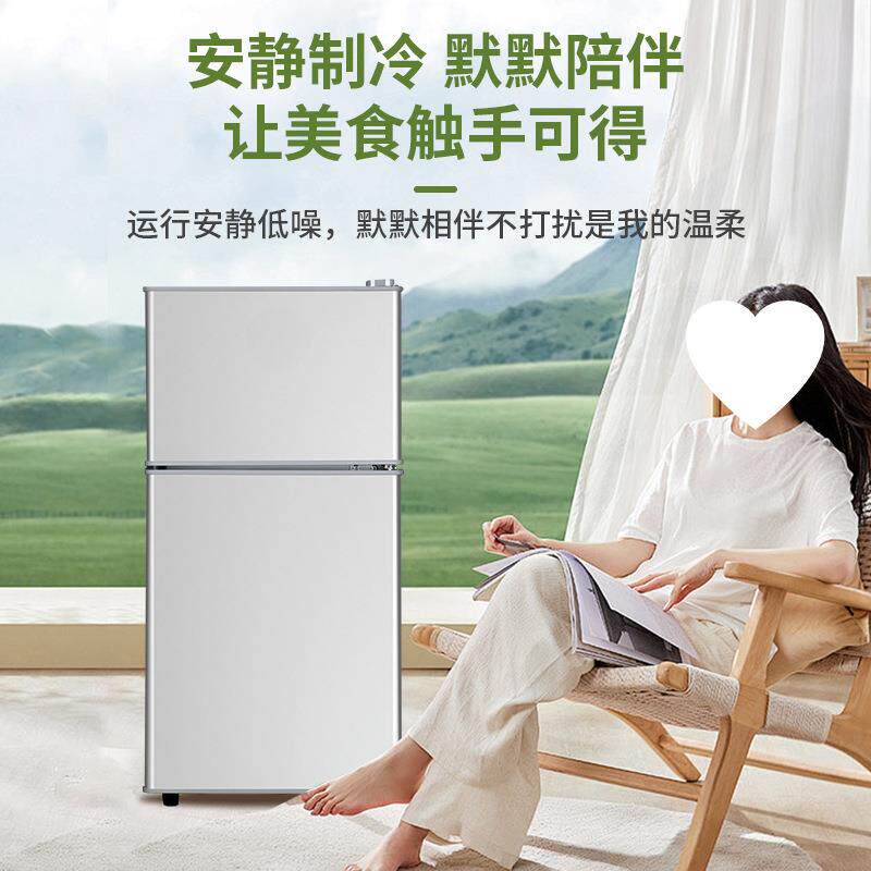 级能效小冰二人用家用小一型冰箱出租房宿箱舍迷你FTF双门电用冰