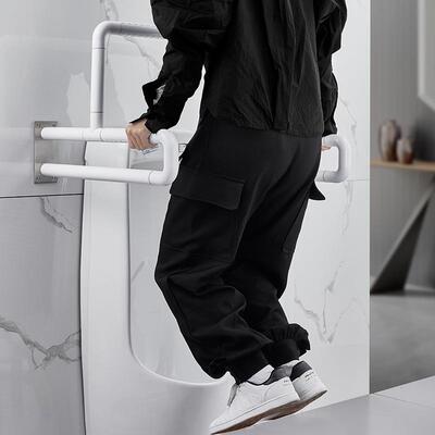 3所8806-3AC4不锈钢小扶便池器手残0疾人公共卫生间厕老人无障碍