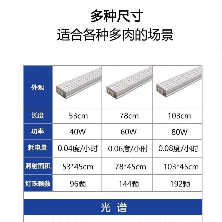 世纪芯肉上补光灯家用色防徒长全光之谱室内花卉BKX绿植多专用生