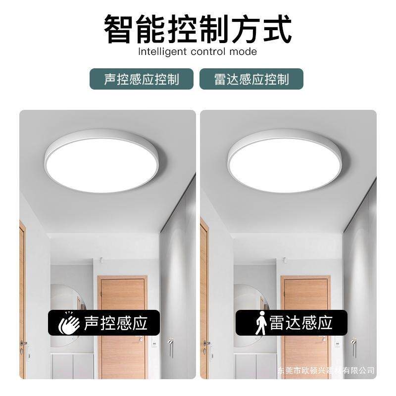 感应吸顶灯楼过梯道RMF灯楼道走廊声灯红外人体雷达感应智灯能控