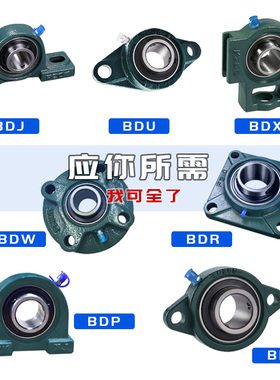 轴承座BDV/BDP/BDW/BDX/BDU/BDR/BDJ-205 206 207 208 209 210