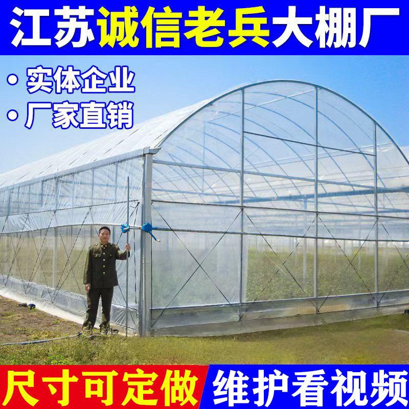 大棚骨架钢管全套温室养殖种植蔬菜花卉棚农业连身栋椭圆支管定制图片