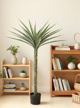 仿真多杆剑兰剑CEL绿景盆栽人造龙舌麻兰虎皮兰园林景观造植假植