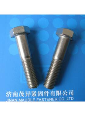 核电不锈钢丝AS110.级1-螺21RFY000