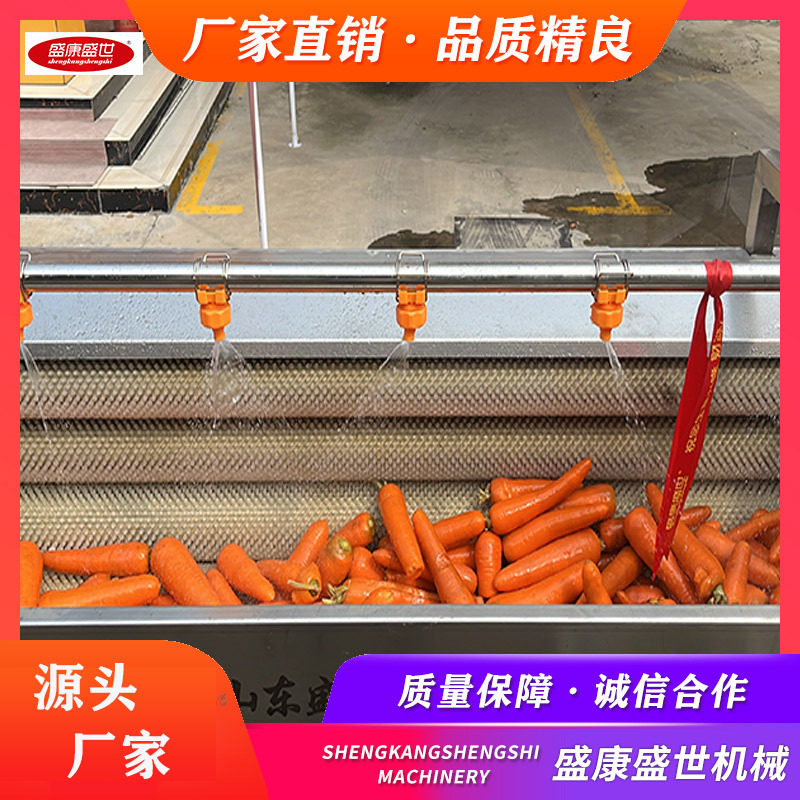 洋葱气泡清洗机 菌菇清洗沥水流水线 气泡式菌菇清洗机 应用广泛