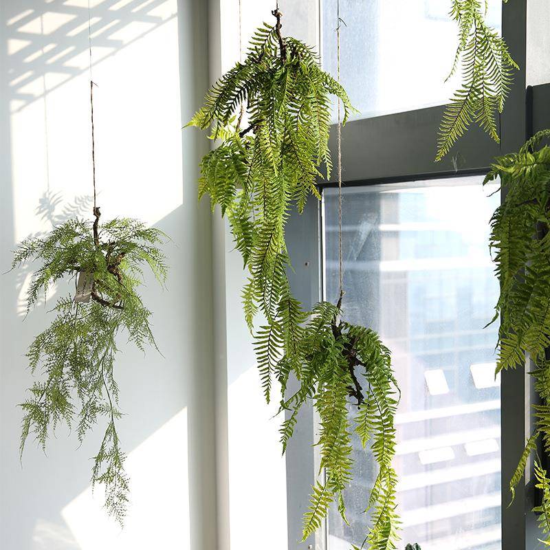 芊蔚室内空中树绿根蕨吊仿真WBV植物吊垂饰家居创意花艺设计