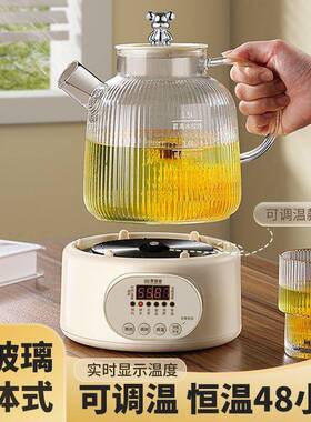 多功能全璃养生壶家QSK玻用体式煮茶壶小型煮器烧水壶恒温分花茶