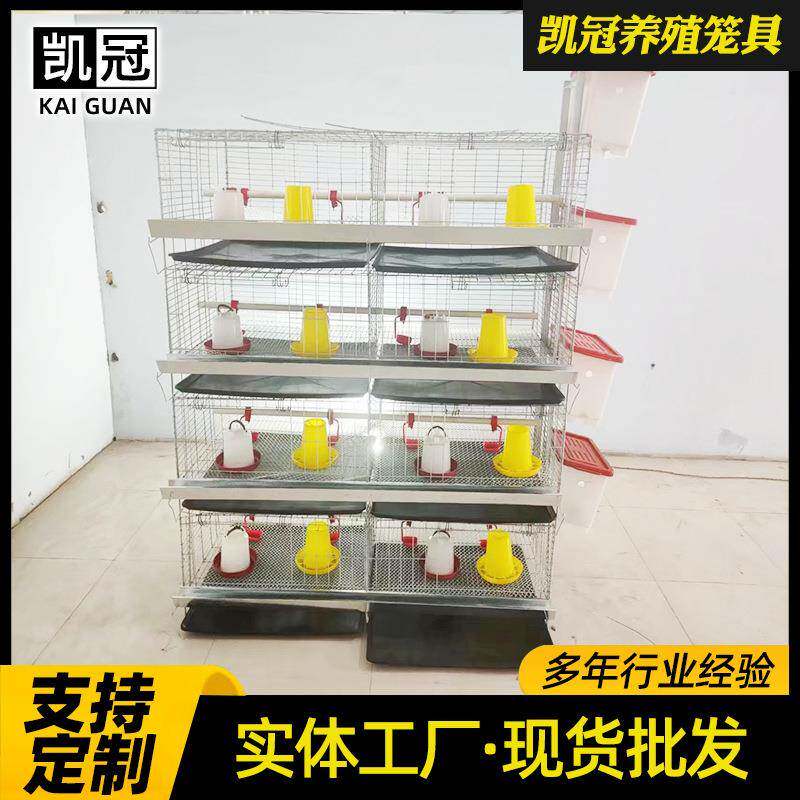 立体雏育雏鸡笼四层小鸡笼子小面鸡621舍殖积设备加粗加密育养饲