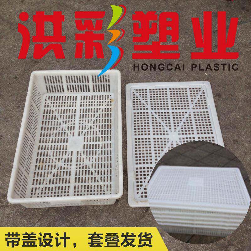长方箱形号989塑料周转箱网眼白色海鲜虾养大殖可套叠加厚带盖胶