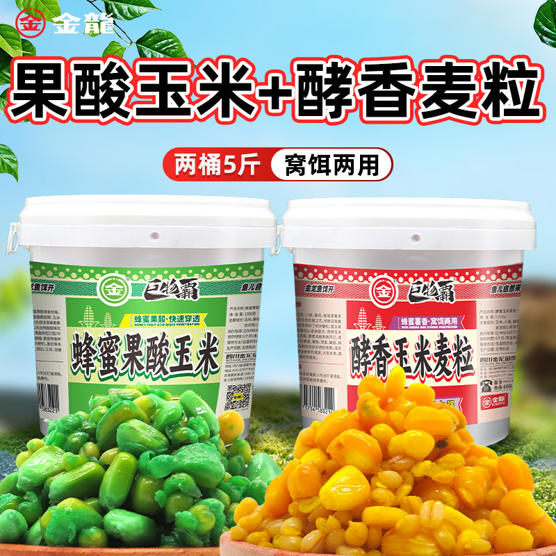 金龙【2斤半】桶装酵香玉米麦粒窝料两用鲤鱼蜂蜜钓鱼野钓薯香野