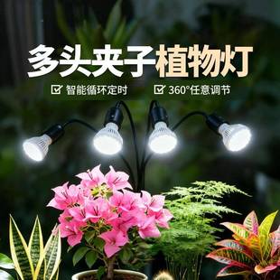 植物光灯仿花太阳光谱夹补XEC子花家用架上色室内光照卉生长灯
