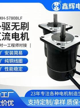 57BL12144微型马达2V24V高1转速低噪音推力备强机械驱设外无刷直