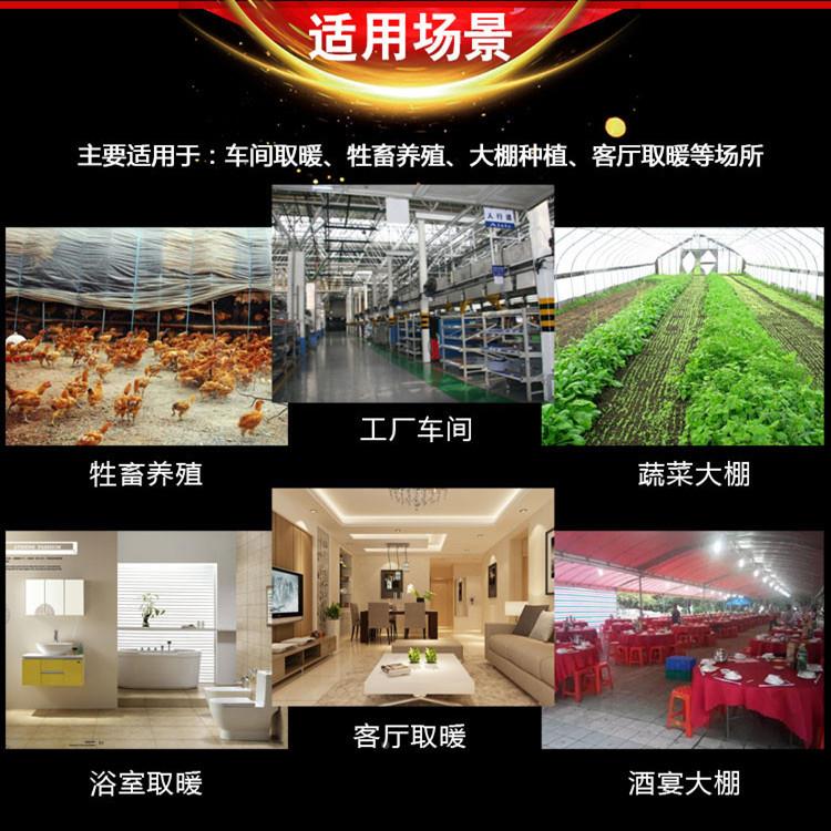 动物幼崽养室殖暖风机电子恒温热风炉北地区内快速温暖东风HKN升