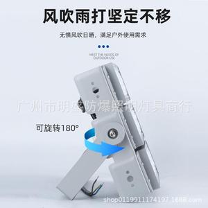 led模组隧道球灯户外防水篮场0w足球场高亮灯5WYM-86H-600体育馆