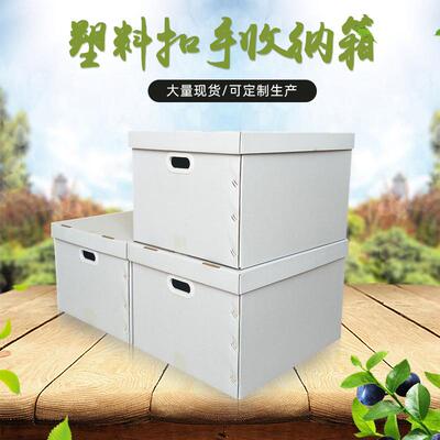 纸箱特厚大号保包管物证箱塑BVT储物快递打包免胶带料扣手纳收装