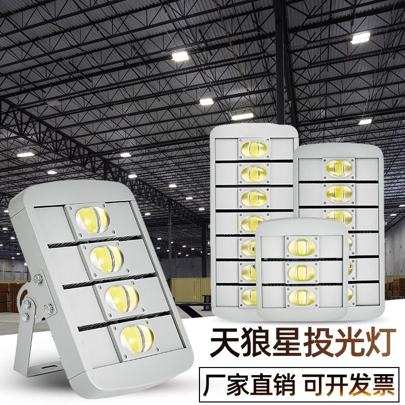 LED天狼星户外防水投光灯100W