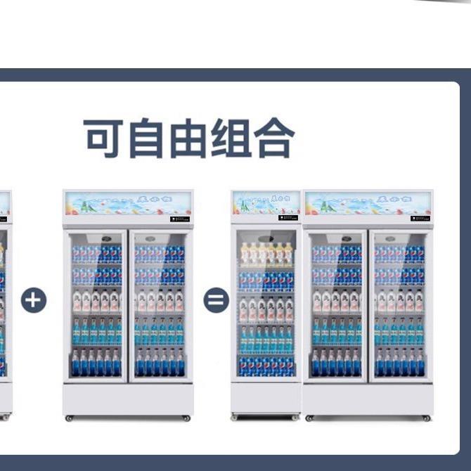 冷藏冰保鲜柜单门展示柜双门饮料商用立式三门啤JQA市酒冰柜超水