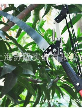 花心蘭3米园林工OUE具高枝剪树伸缩高枝空剪果枝园艺修剪高枝锯