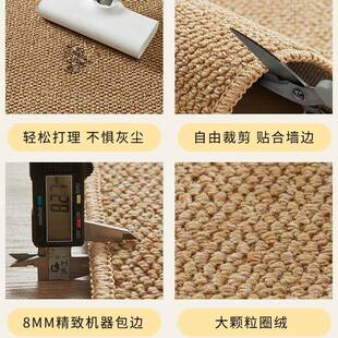 剑麻入户门地垫板地毯客厅仿影棚拍摄灰色照沙发卧室床边飘窗猫抓