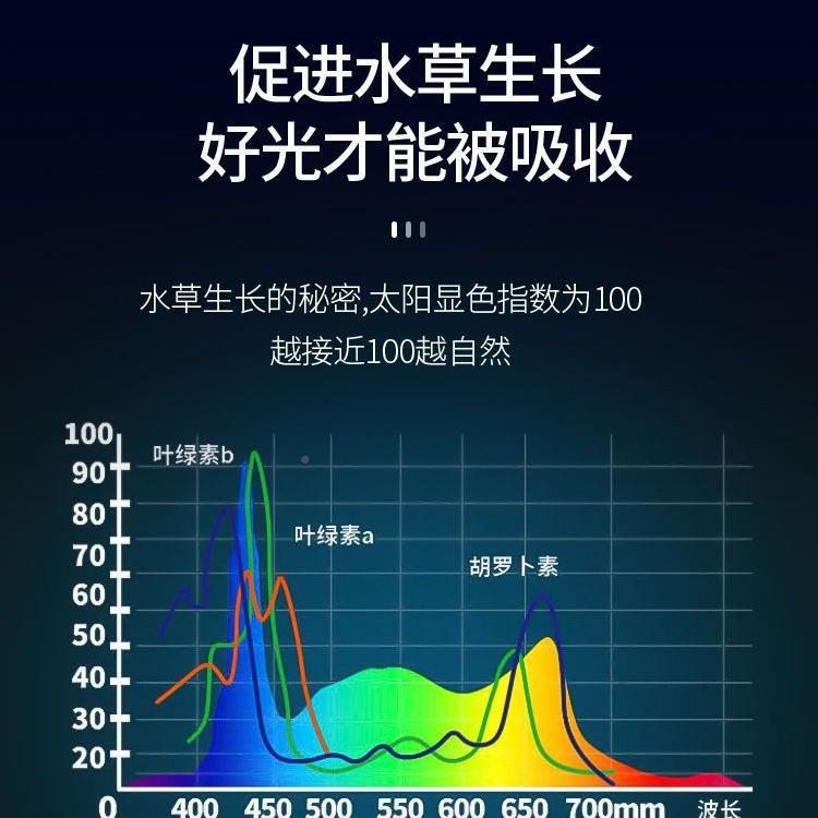 5054RGB灯QLB珠1.gw3w水族水草专5用5灯珠504全彩rb灯珠质保三年