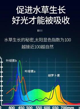 5054RGB灯QLB珠1.gw3w水族水草专5用5灯珠504全彩rb灯珠质保三年