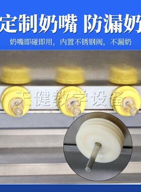 小猪喂奶器不锈钢自动恒温仔喂猪妈奶机猪用羊补奶NVZ机小猪奶机