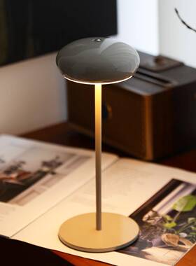 充电台灯卧室床26310头装饰户台灯客厅酒清夜吧氛店围灯外露营小