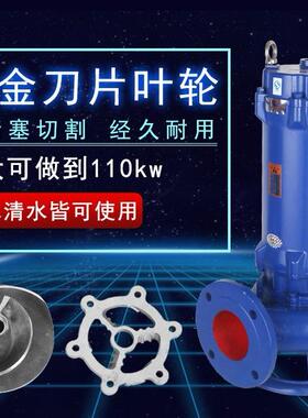 上海ABF切式污水泵家用小型水泵泵3割8V化粪池泥浆排0污沼气池