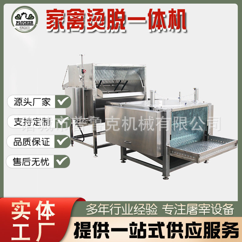 家禽屠宰鸡鸭鹅脱毛机 屠宰鸡的小型设备 杀鸡屠宰厂专用脱毛机