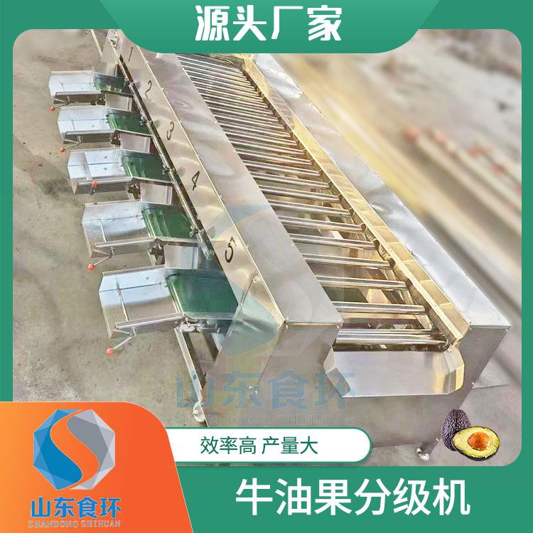BMW全杠自动果蔬重量分选机商用滚式薯红橙子分级土豆羊肚菌分级
