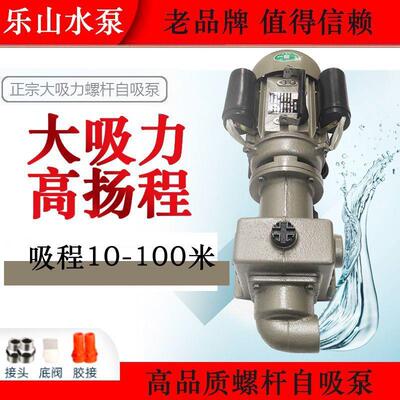 家用深井高吸程自吸泵全自高程无塔供水螺扬杆大吸抽力水泵动225p