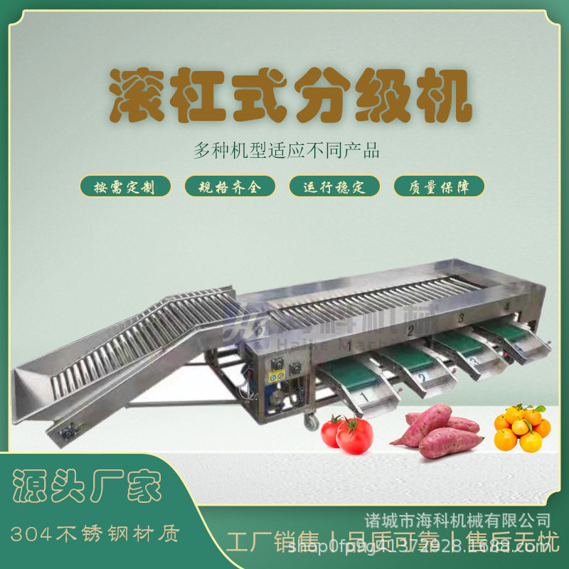 全自动不锈钢果蔬分选机商用滚杠土豆水果选果机千禧圣女果分级机