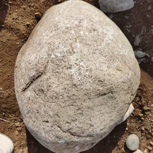 卵石岸景观石道驳石湖石鹅卵石园林景观置石河河河滩石98176造景