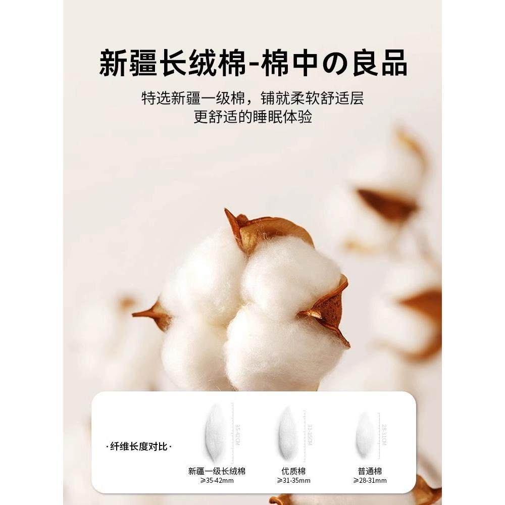 棉花床子垫软垫家用褥榻榻米垫子褥宿舍床学垫生WAS单人租房垫谚