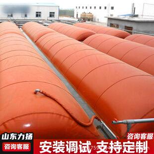 养殖猪场沼气发酵池储气袋农村家用沼气储存池红泥软体沼气池罐