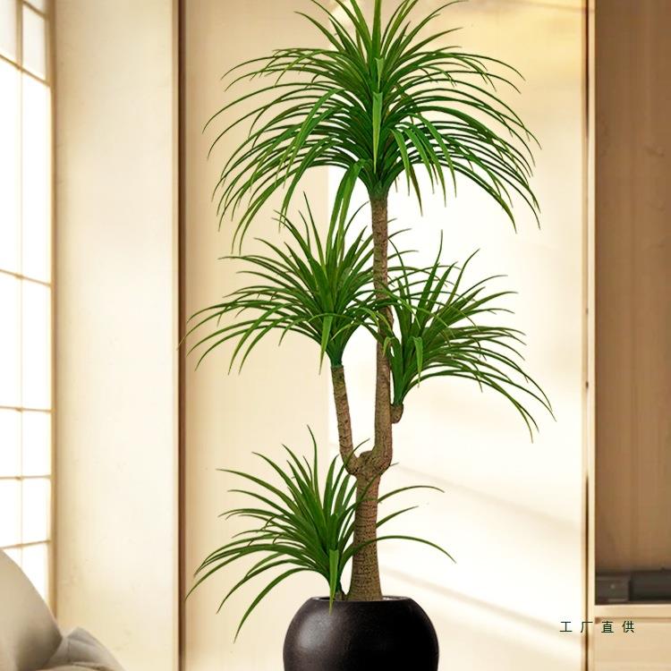血树植绿植龙须树龙铁树客厅装饰F98SS8JS室内大型落假物盆栽地龙