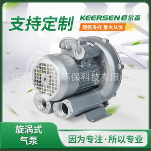 柯尔森2RS5110 涡鼓风机 H6.3KW三相旋涡气泵高压1风机RUL漩式