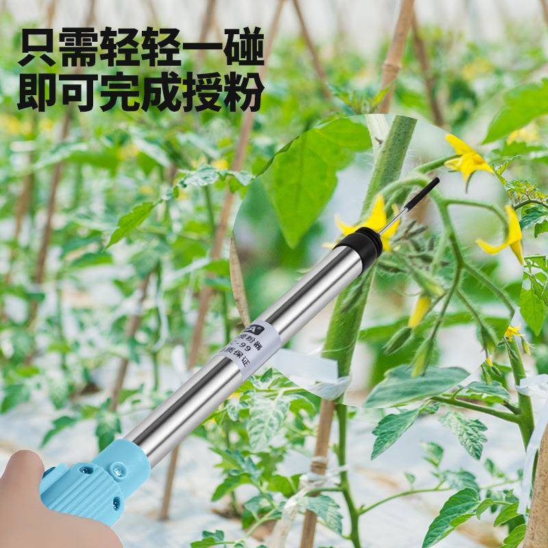 舒畅新型棚番电动授粉大器点花机点花器西红柿KPQ茄茄子粉手持授