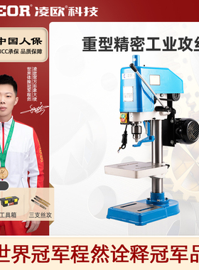 凌欧台式攻丝机SWJ-12 SWJ-16 SWJ-24 M8 M12 M16 M20 攻牙机西湖