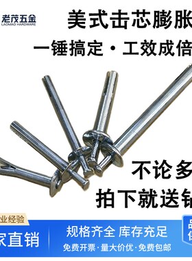 美式击芯膨胀钉敲击式膨胀栓插片壁虎快速膨胀螺丝防盗网门窗内胀