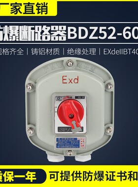 防爆断路器BDZ52-63 2P/3P10A-63A空气开关漏电开关