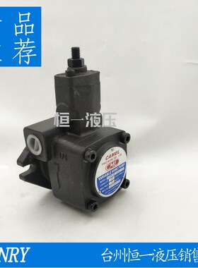 CML 油泵VCM-SF-20A/20B/20C/20D/12A/12B/12C/12D-10变量叶片泵