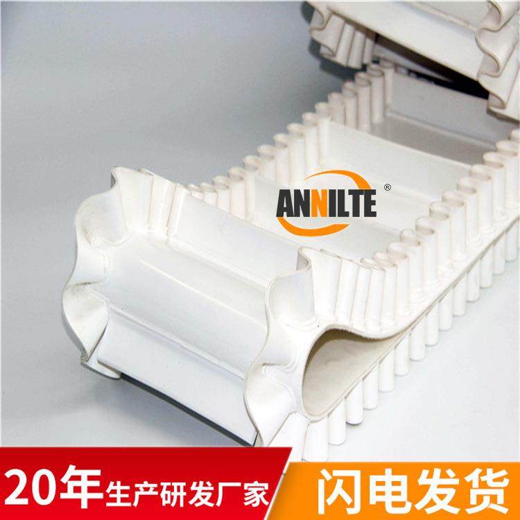 厂家大倾角PVC输送带裙边挡板轻型传送带无缝不藏料,标准件/零部件/工业耗材,输送带/传送带,淘宝优惠券,粉丝福利购,淘宝优惠卷