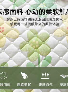 A类防水隔尿床X240523-笠三床件大豆护夹棉罩2025套新款席梦思床