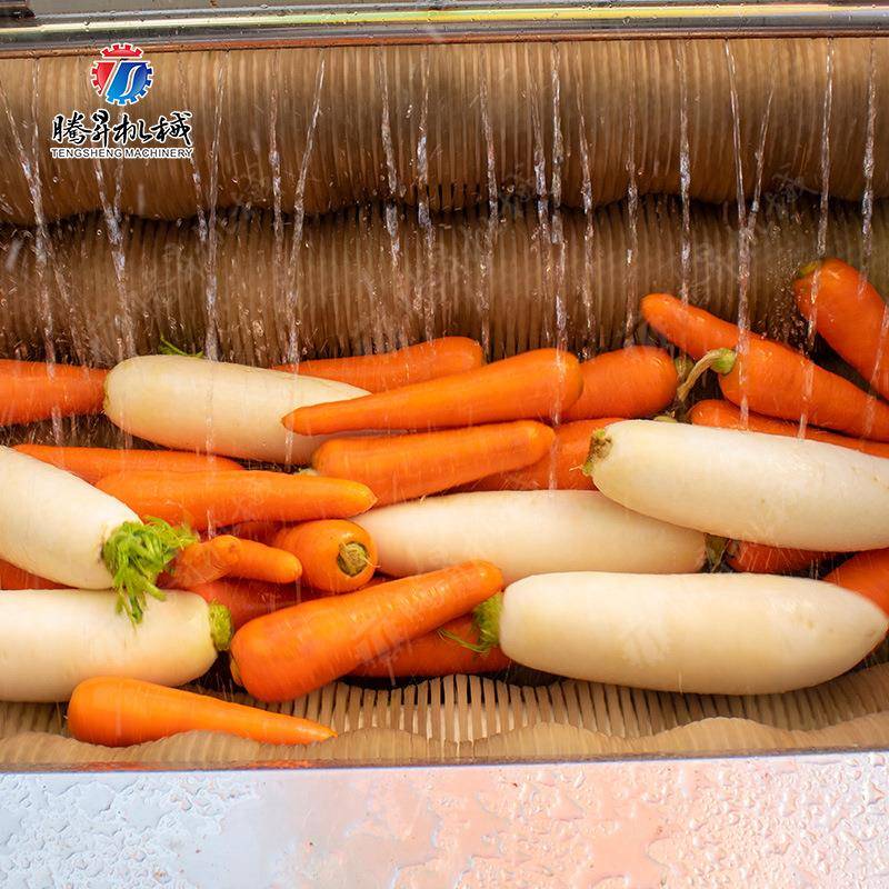 大蹄姜芋胡萝清洗机头莲藕红薯生姜毛棍去皮卜马RUR清洗洗姜机