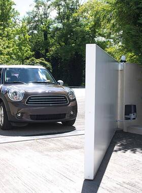 CAME曲臂式自动平开门机别墅庭应铁平开门机院门侧FTX感装电动闭